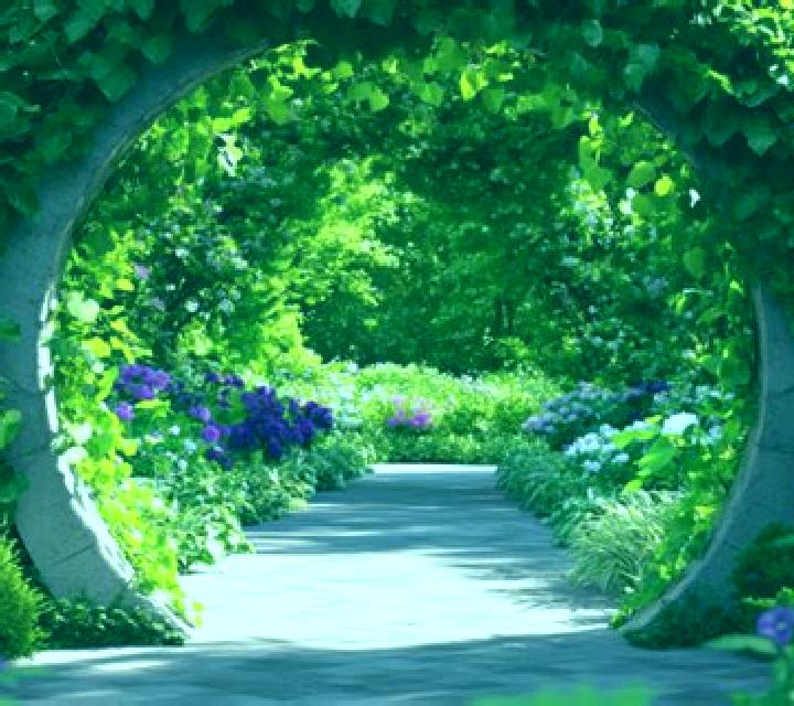 Secret Garden (Rival) online slot