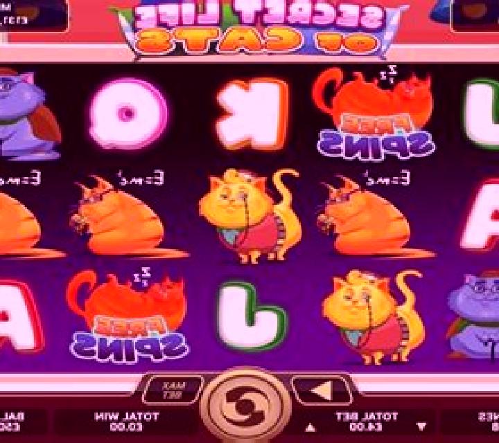 Secret Life of Cats slot game