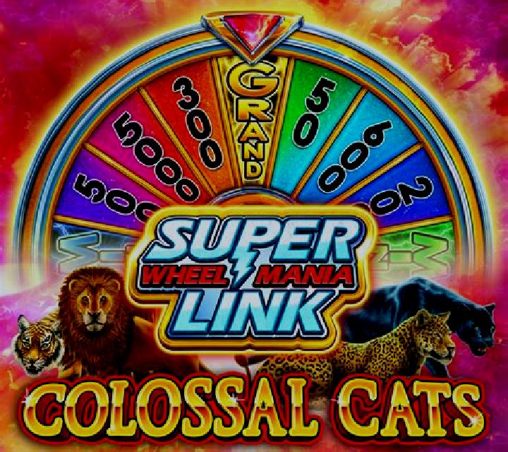 Secret Life of Cats slot machine