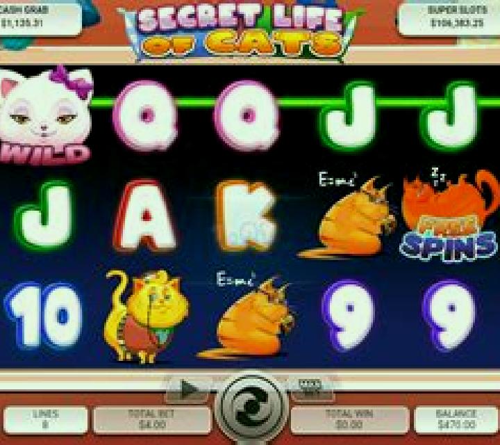 Secret Life of Cats slot
