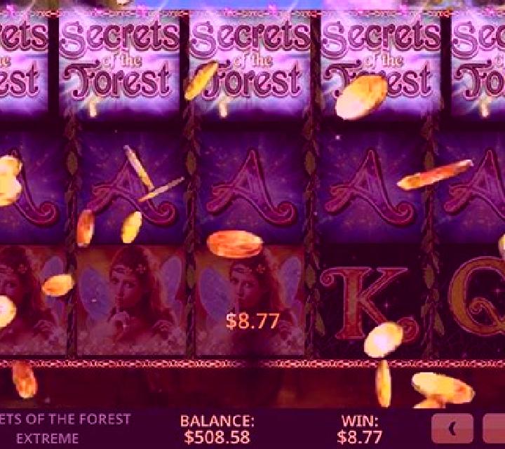 Secrets Of The Forest online slot
