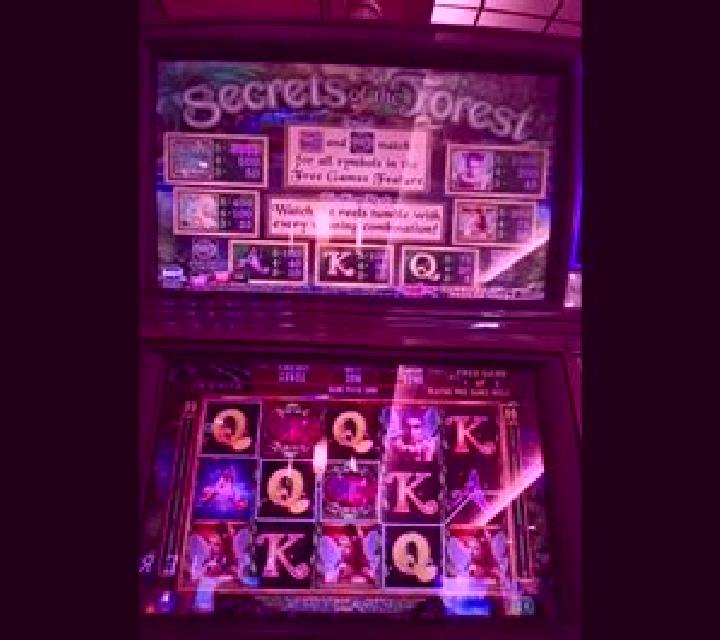 Secrets Of The Forest slot machine