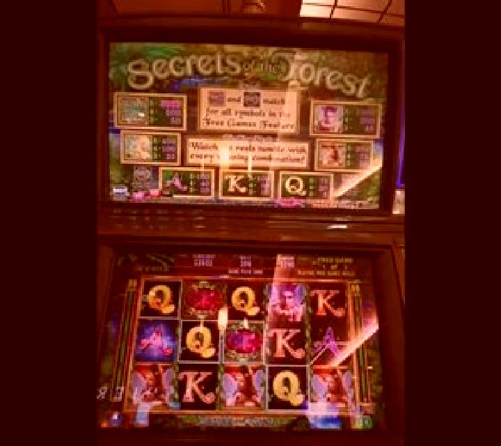 Secrets Of The Forest slot
