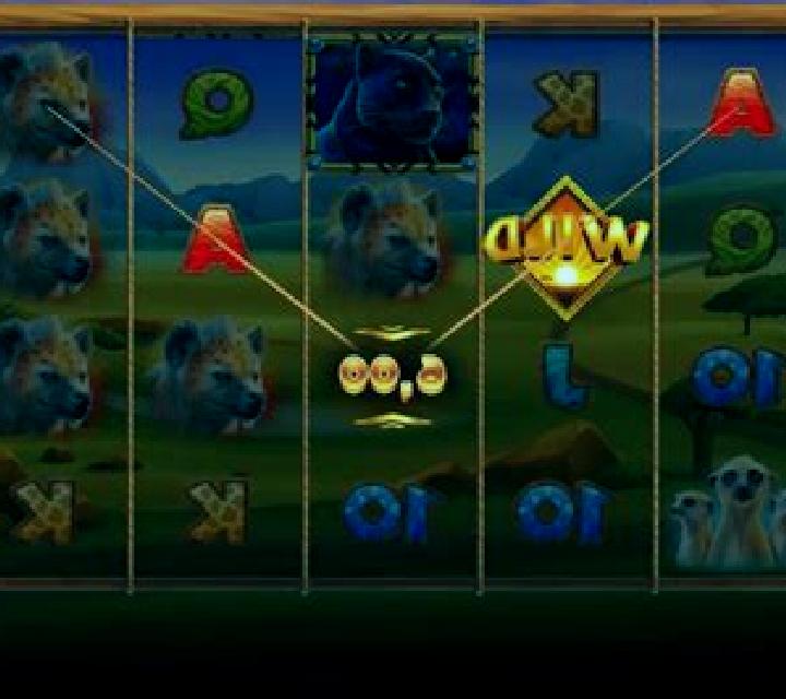 Serengeti Kings slot