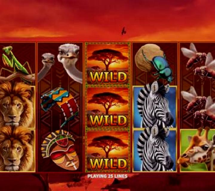 Serengeti Sunset slot game