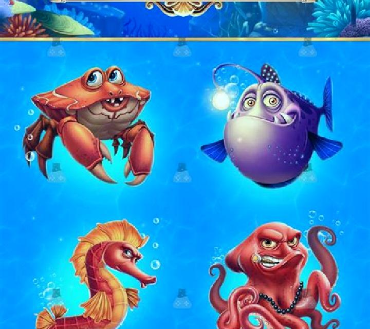 Shark Meet slot game