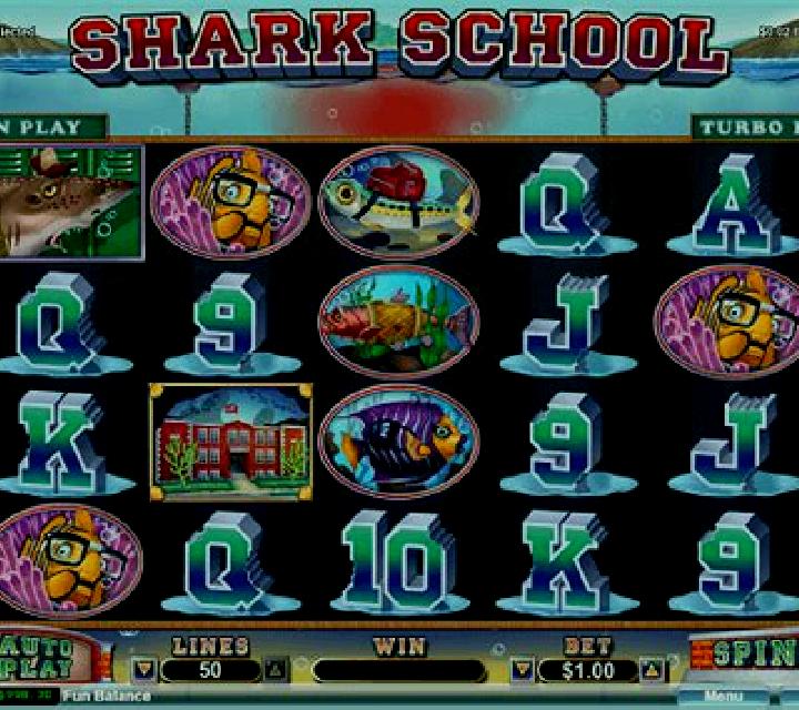 Shark School slot