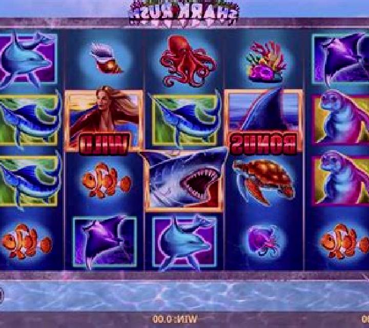 Shark! slot