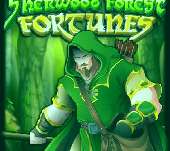 Sherwood Forest Fortunes slot game