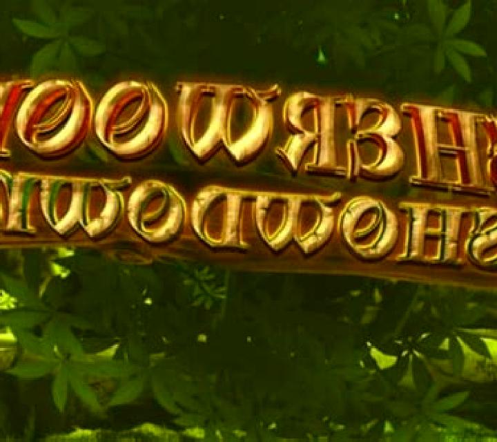 Sherwood Showdown slot