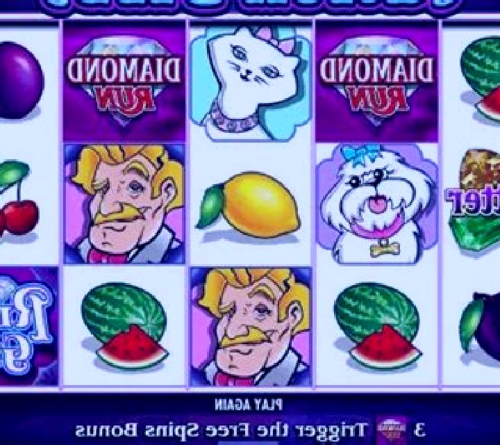She s a Rich Girl slot