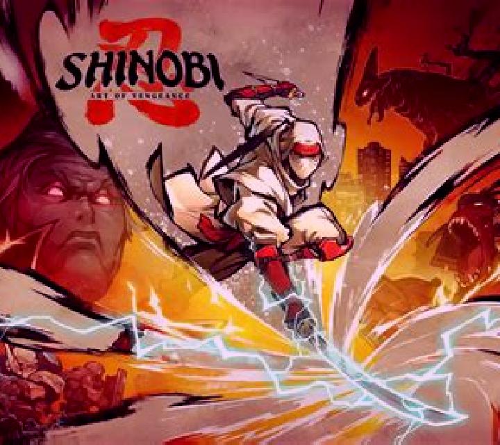 Shinobi Supersweep Scratch slot