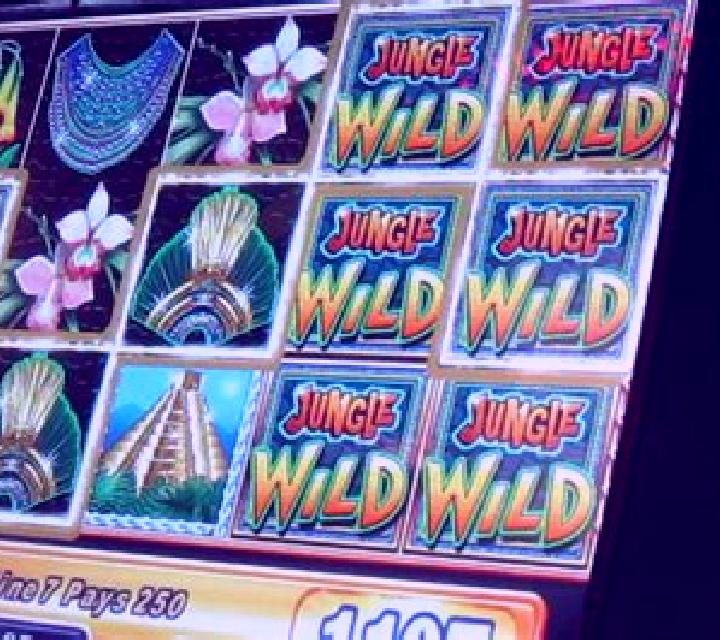 Shocking Wild slot machine
