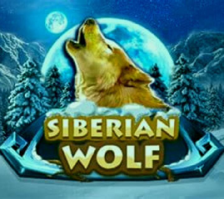 Siberian Wolf slot game