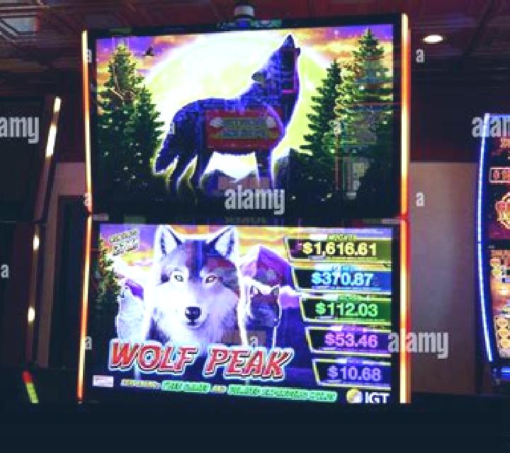 Siberian Wolves slot machine