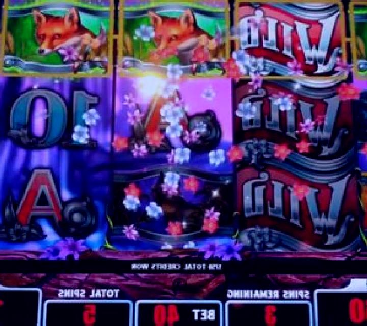 Silver Fox slot machine