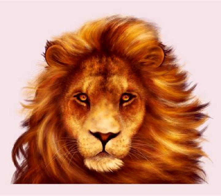 Simba online slot