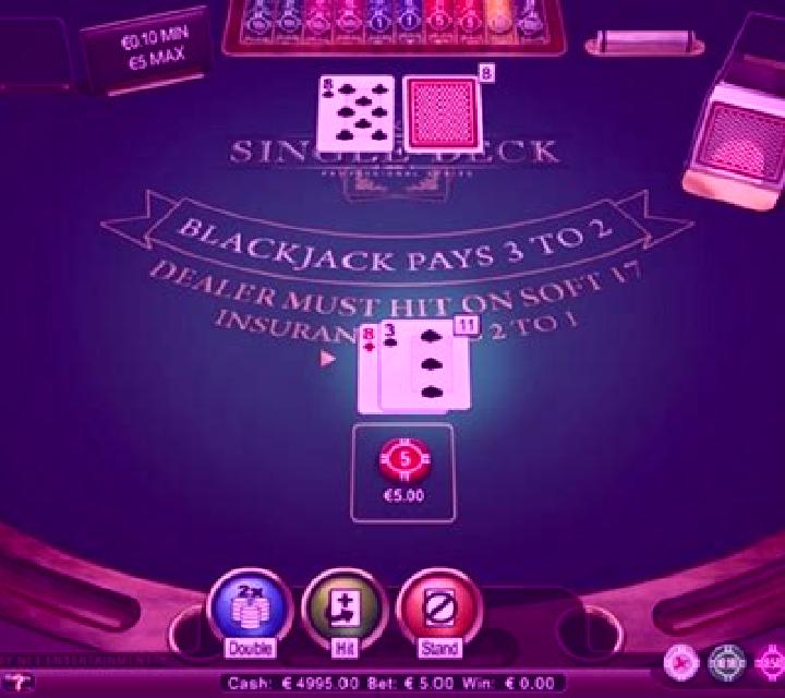 Single Deck Blackjack Professional Series slot machine