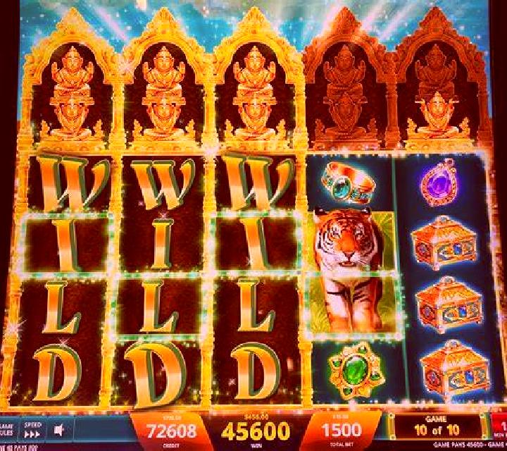 Sizzling Jungle slot machine