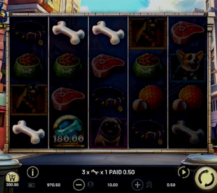 Sky Dogs slot game