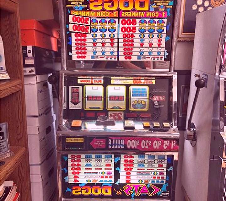 Sky Dogs slot machine