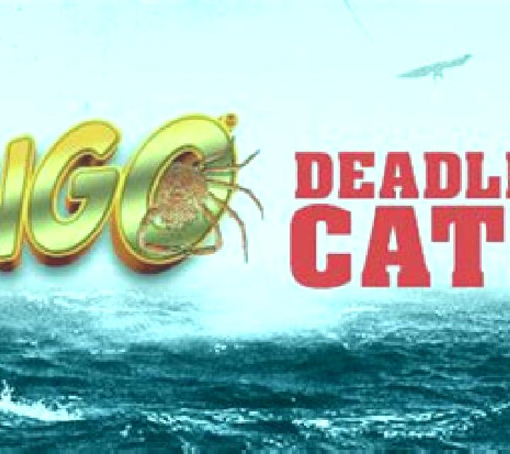 Slingo Deadliest Catch slot game