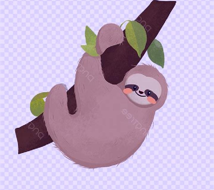 Sloth slot
