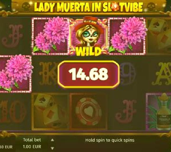 Slotvibe Muerta slot