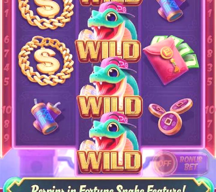 Snake Fortune Hold and Win slot game