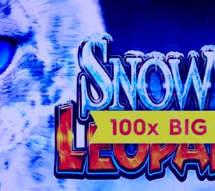 Snow Leopard slot game