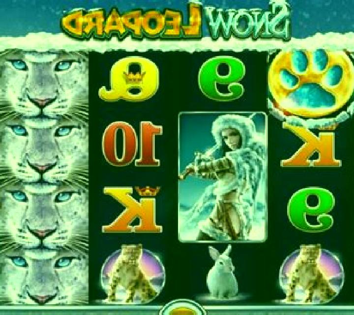 Snow Leopard slot