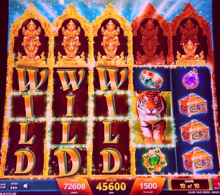 Sounds of Jungle slot machine