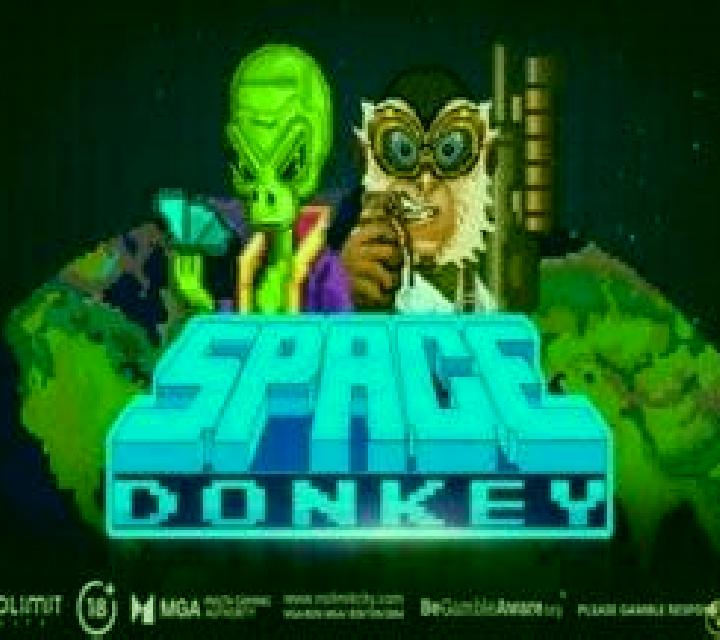 Space Donkey slot machine