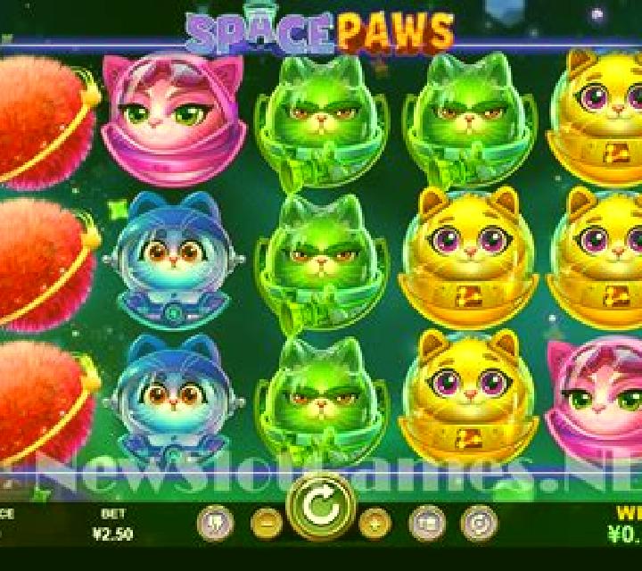 Space Paws slot game