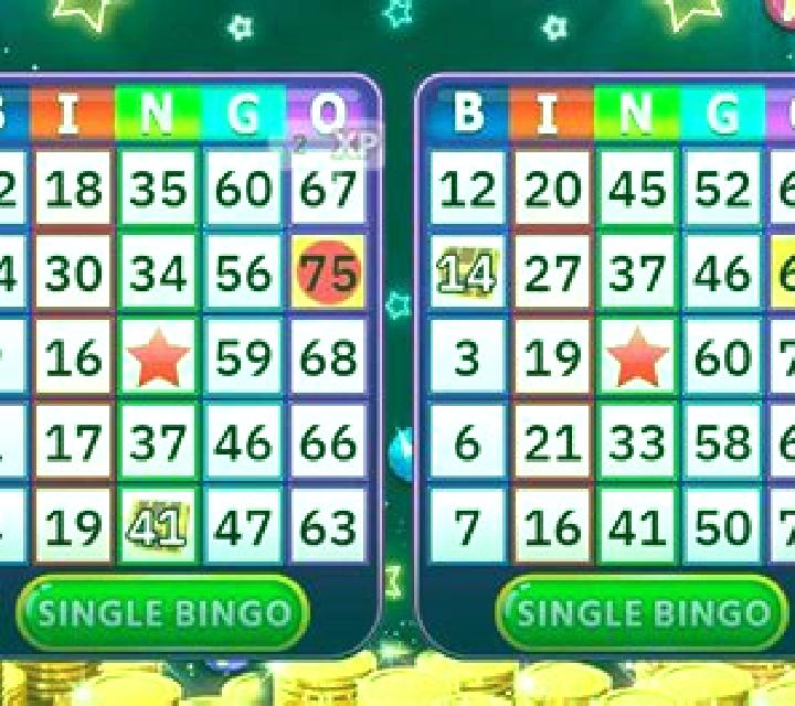 Spin Bingo slot game