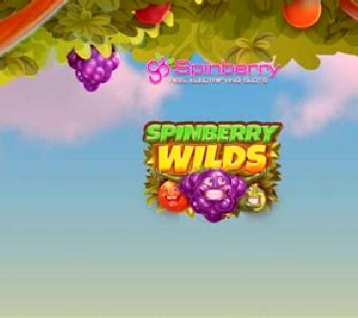 Spinberry Stepper online slot