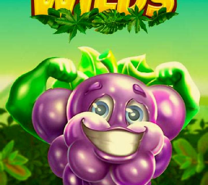 Spinberry Wilds slot game