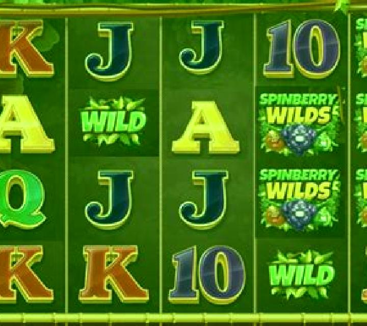 Spinberry Wilds slot