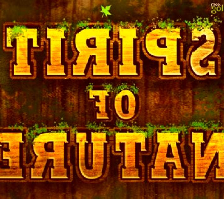 Spirit of Nature HD slot