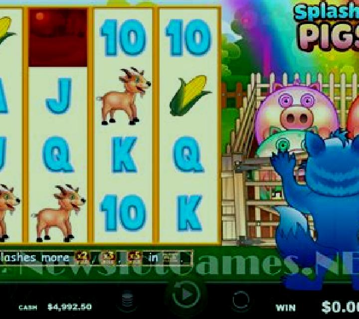 Splashin Pigs slot