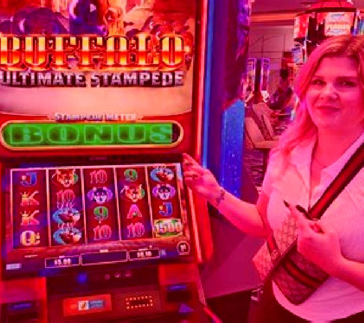 Splashin Pigs Ultimate slot game