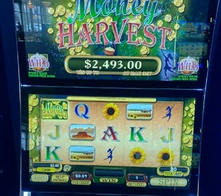 Spring Harvest slot machine