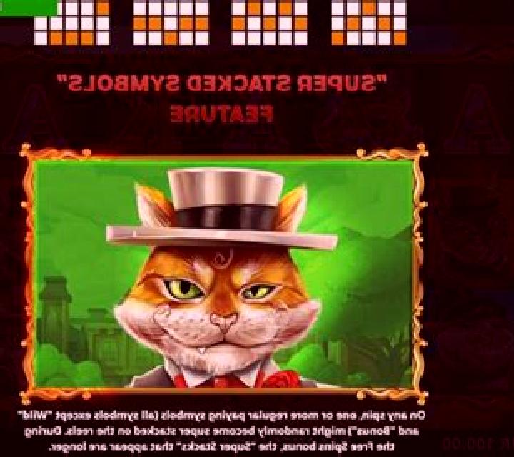 Stack A Cat slot game