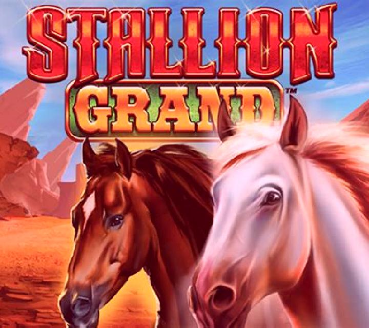 Stallion Kingdom slot game