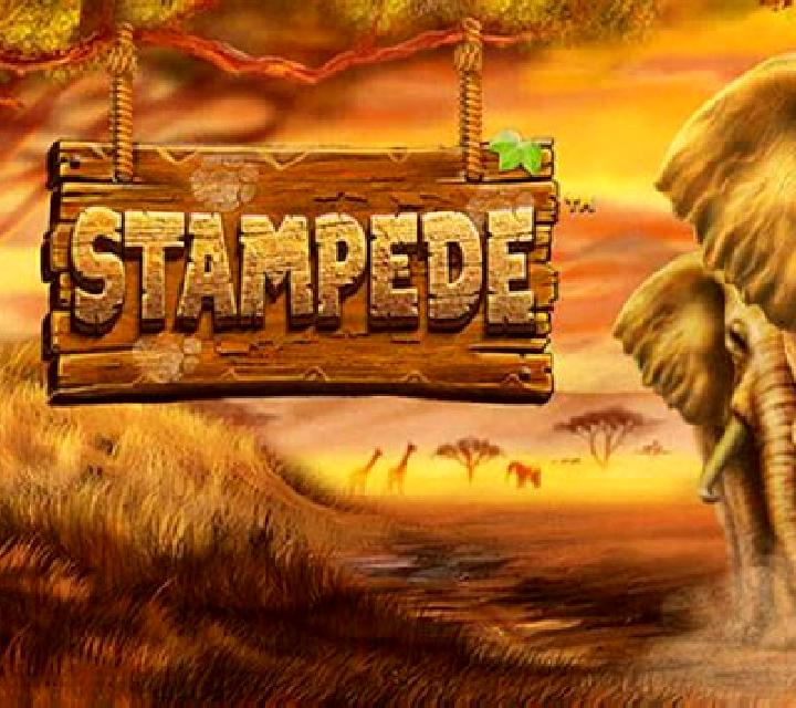 Stampede (Betsoft) slot