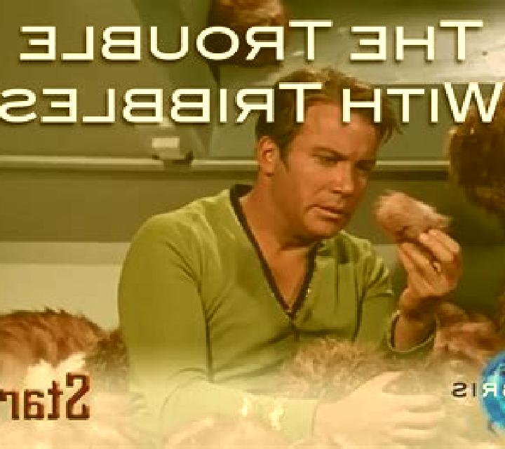 STAR TREK Trouble With Tribbles online slot