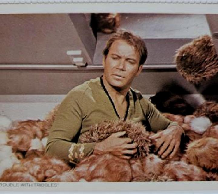 STAR TREK Trouble With Tribbles slot machine