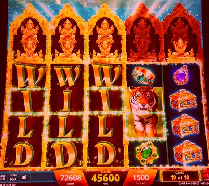 Star Watch Jungle slot machine