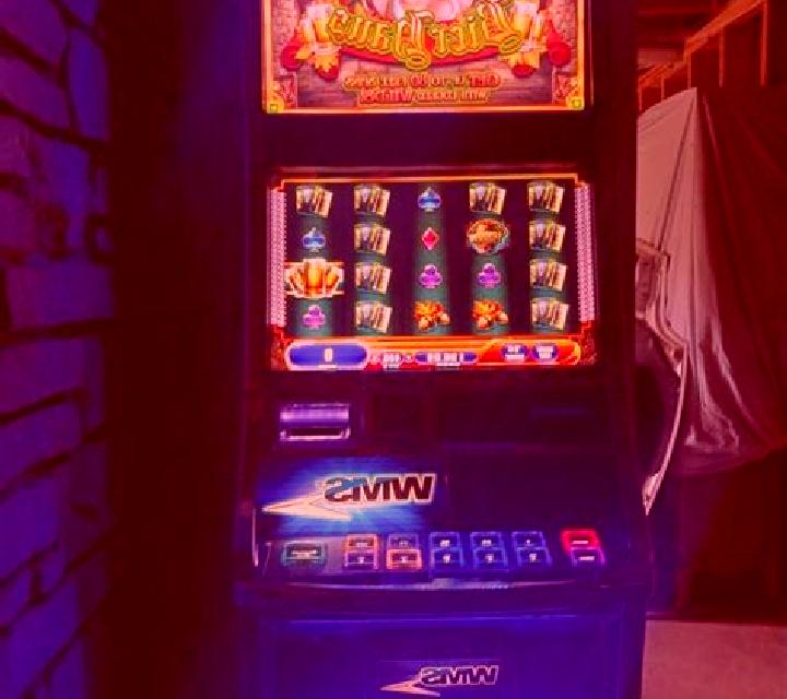Stein Haus slot machine