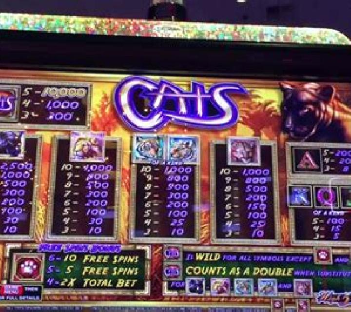 Sticky Cats slot machine